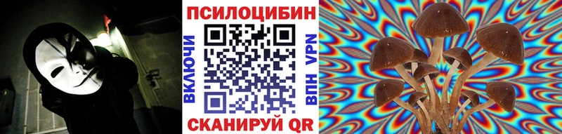 Псилоцибиновые грибы мицелий  купить закладку  Светлый 